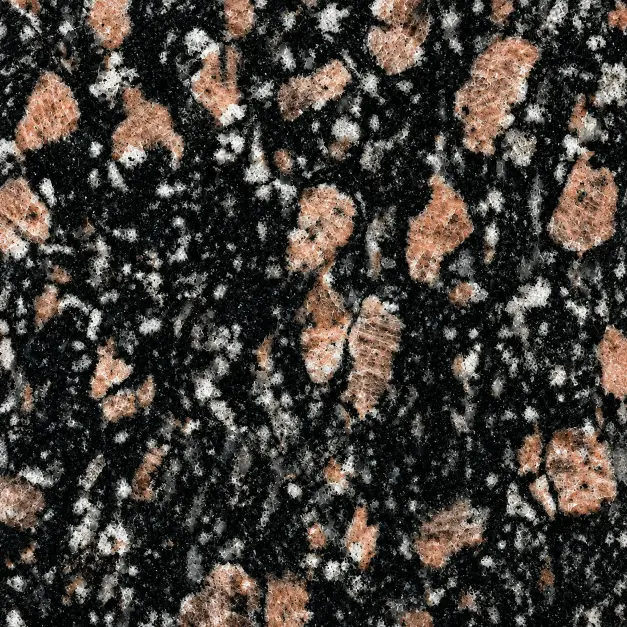 Struktura Leopard